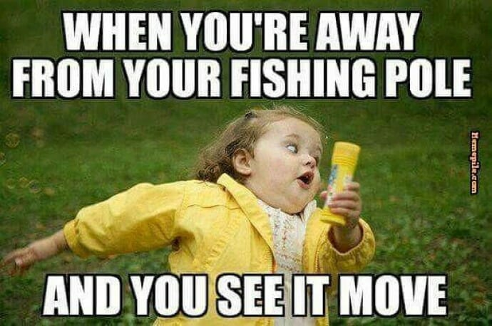 Reel in the Laughs with These Funny Fishing Memes 14