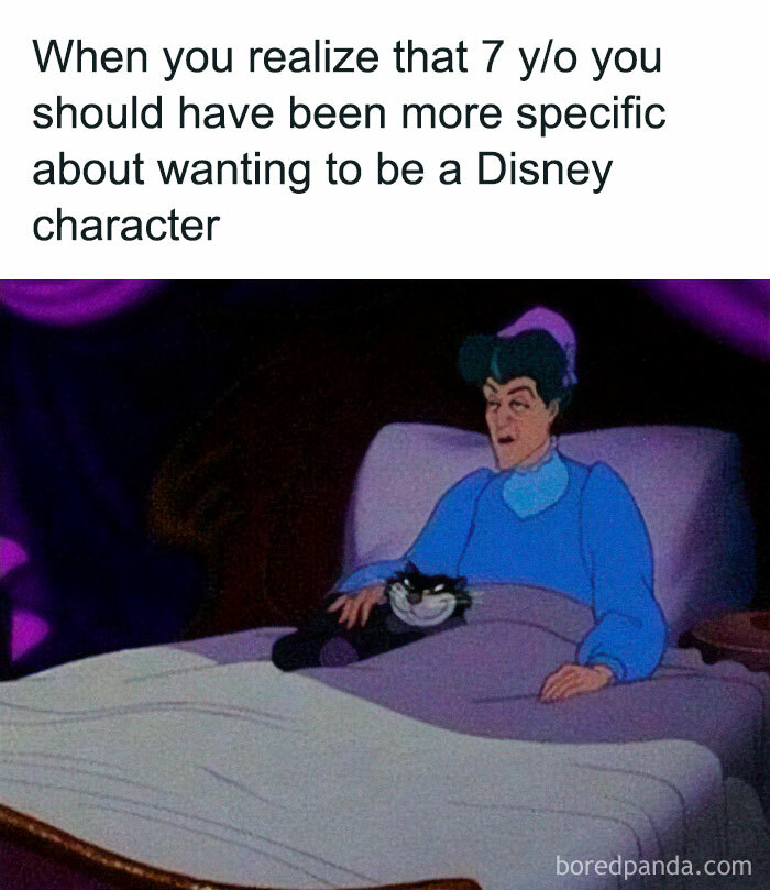 30 Disney Memes 7