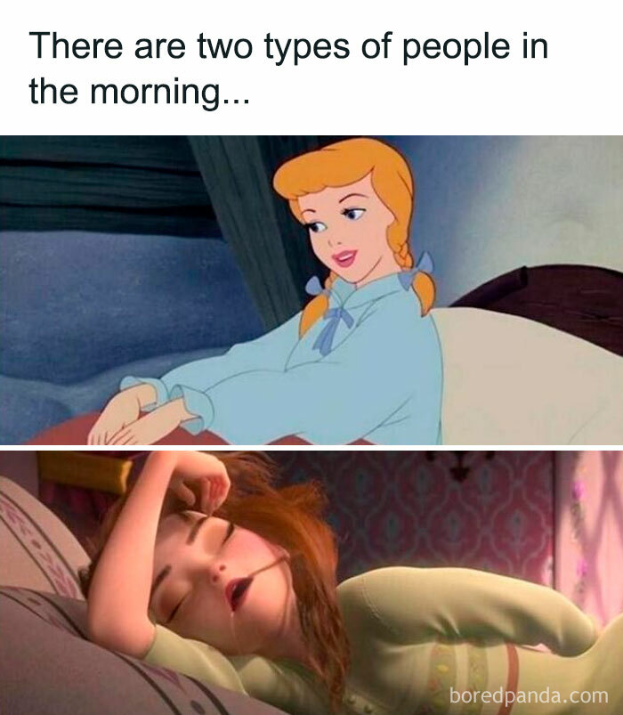 30 Disney Memes 11