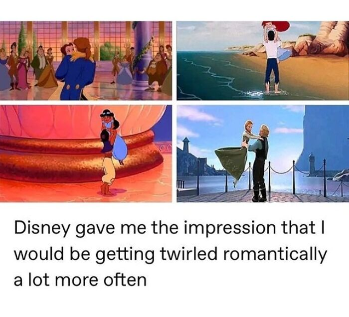 30 Disney Memes 19