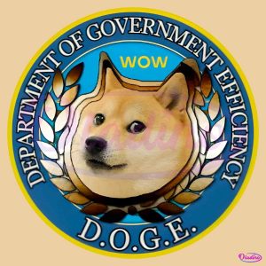 Department Of Government Efficiency Doge PNG