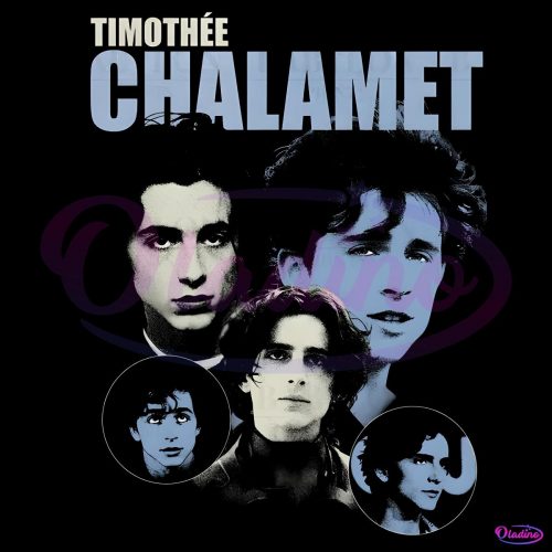 Vintage Timothee Chalamet PNG