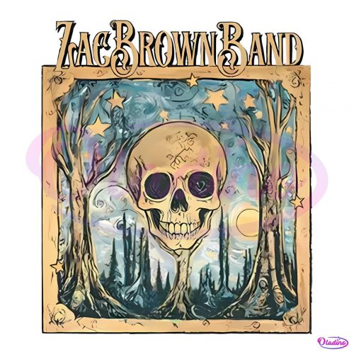 Vintage Zach Brown Band Skull Painting PNG