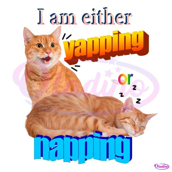 I Am Either Yapping Napping Funny Cat Meme PNG