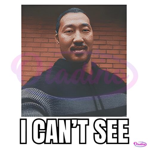 I Cant See Andrew Ahn Funny Meme PNG