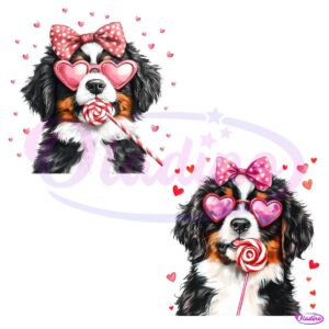 Bernese Mountain Puppy Pink Bow Lollipop PNG