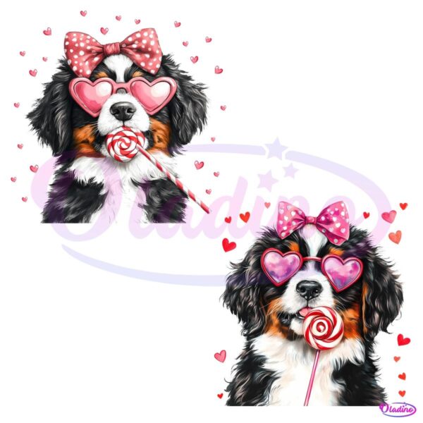 Bernese Mountain Puppy Pink Bow Lollipop PNG