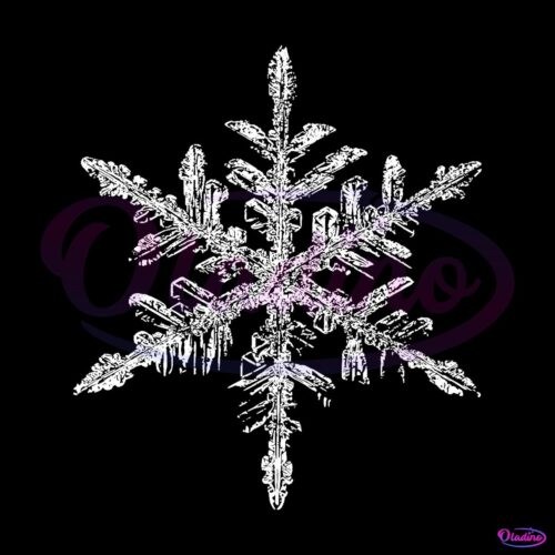 Distressed Snowflake Christmas Family Holiday PNG