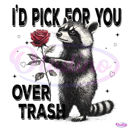 Id Pick For You Over Trash Funny Racoon Valentine PNG