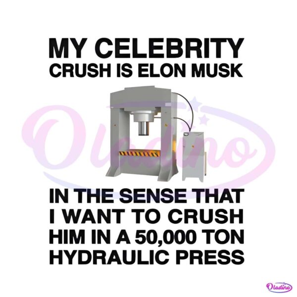 My Celebrity Crush Is Elon Musk Funny Meme PNG