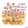 Bloom Where You Are Planted PNG