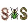 Sza Sos Insect PNG