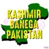I Stand With Pakistan Kashmir SVG