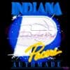Indiana Pacers Authmade Logo 2025 PNG